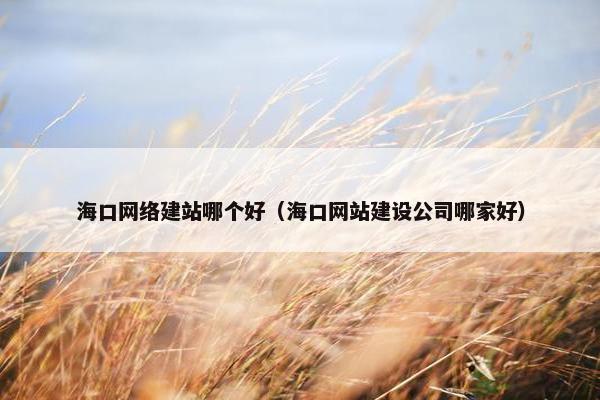 海口网络建站哪个好（海口网站建设公司哪家好）-第1张图片-冷动云