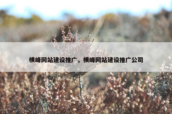 横峰网站建设推广，横峰网站建设推广公司-第1张图片-冷动云