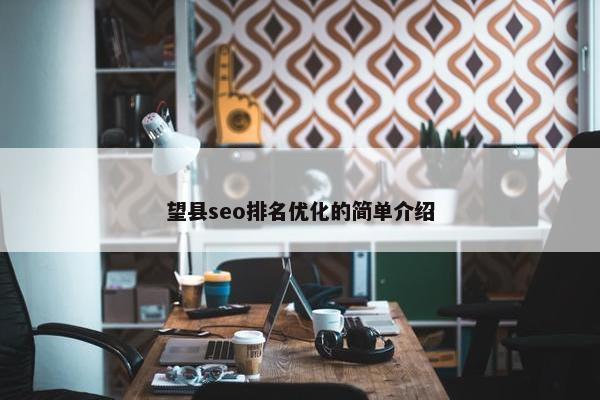 望县seo排名优化的简单介绍-第1张图片-冷动云