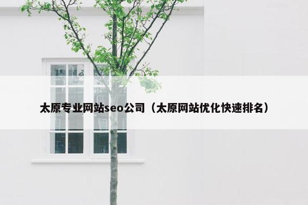 太原专业网站seo公司（太原网站优化快速排名）-第1张图片-冷动云