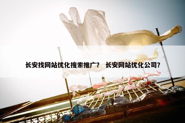长安找网站优化搜索推广？ 长安网站优化公司？-第1张图片-冷动云