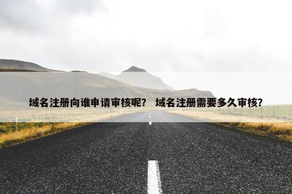 域名注册向谁申请审核呢？ 域名注册需要多久审核？-第1张图片-冷动云