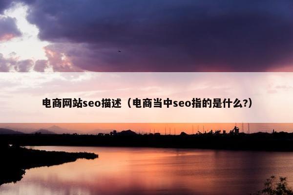 电商网站seo描述（电商当中seo指的是什么?）-第1张图片-冷动云