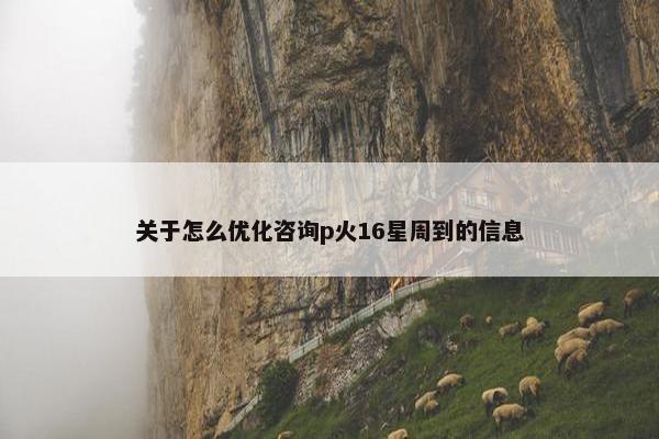 关于怎么优化咨询p火16星周到的信息-第1张图片-冷动云