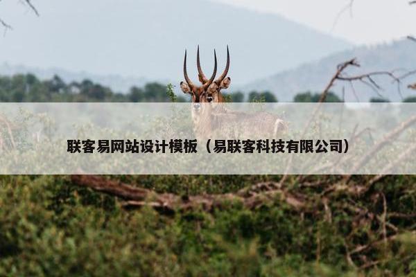 联客易网站设计模板（易联客科技有限公司）-第1张图片-冷动云