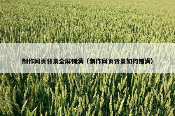 制作网页背景全屏铺满（制作网页背景如何铺满）-第1张图片-冷动云