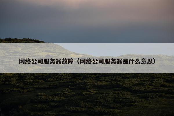 网络公司服务器故障（网络公司服务器是什么意思）-第1张图片-冷动云