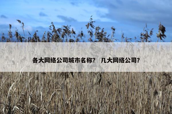 各大网络公司城市名称？ 几大网络公司？-第1张图片-冷动云