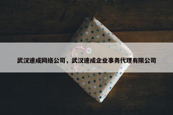 武汉速成网络公司，武汉速成企业事务代理有限公司-第1张图片-冷动云