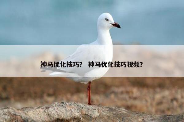 神马优化技巧？ 神马优化技巧视频？-第1张图片-冷动云