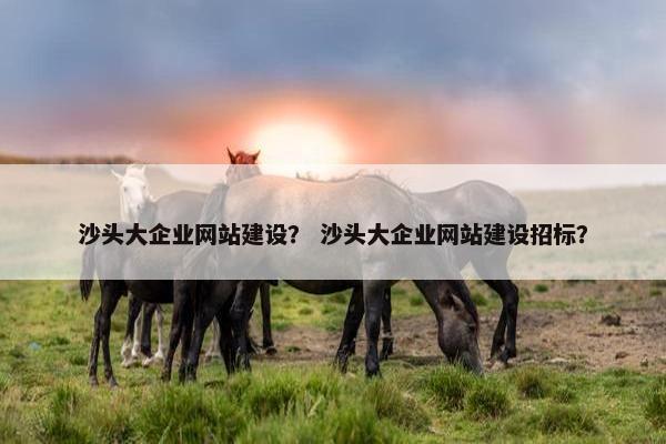 沙头大企业网站建设？ 沙头大企业网站建设招标？-第1张图片-冷动云
