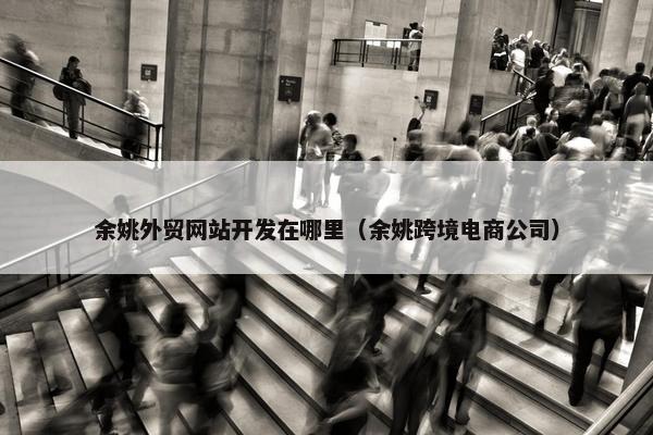 余姚外贸网站开发在哪里（余姚跨境电商公司）-第1张图片-冷动云