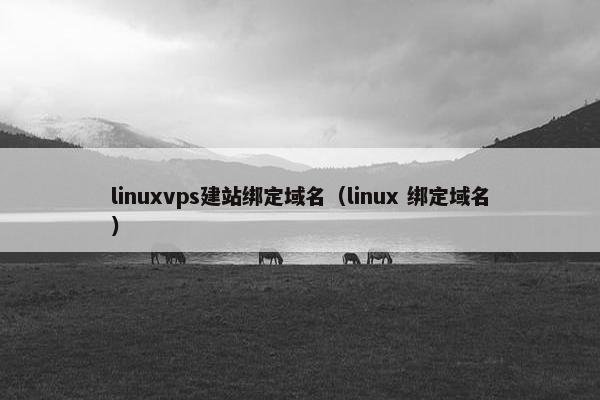 linuxvps建站绑定域名（linux 绑定域名）-第1张图片-冷动云