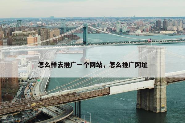 怎么样去推广一个网站，怎么推广网址-第1张图片-冷动云