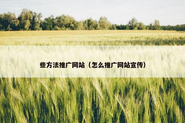 些方法推广网站（怎么推广网站宣传）-第1张图片-冷动云