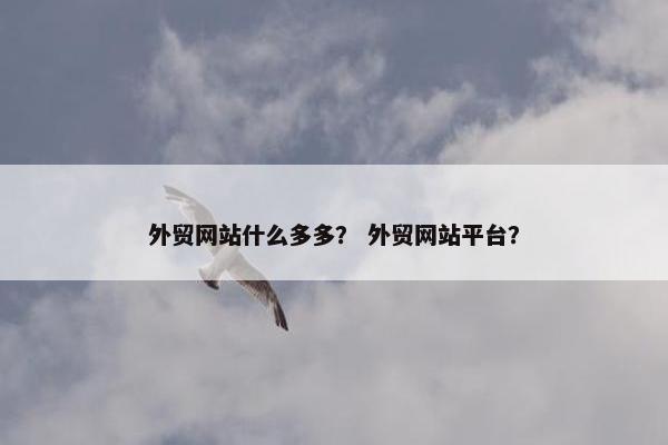 外贸网站什么多多？ 外贸网站平台？-第1张图片-冷动云