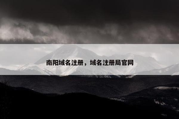 南阳域名注册，域名注册局官网-第1张图片-冷动云