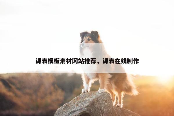 课表模板素材网站推荐，课表在线制作-第1张图片-冷动云