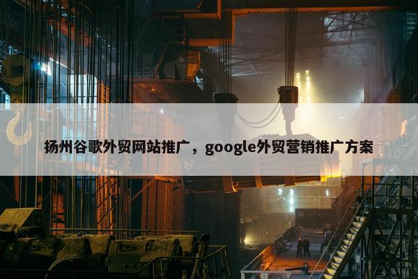 扬州谷歌外贸网站推广，google外贸营销推广方案-第1张图片-冷动云