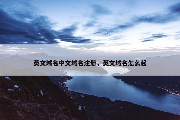 英文域名中文域名注册，英文域名怎么起-第1张图片-冷动云