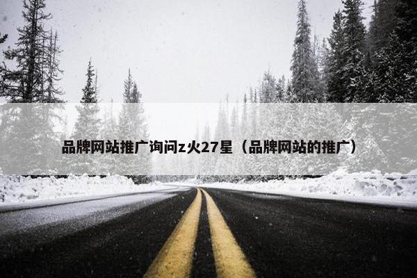 品牌网站推广询问z火27星（品牌网站的推广）-第1张图片-冷动云