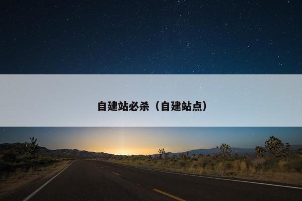 自建站必杀（自建站点）-第1张图片-冷动云