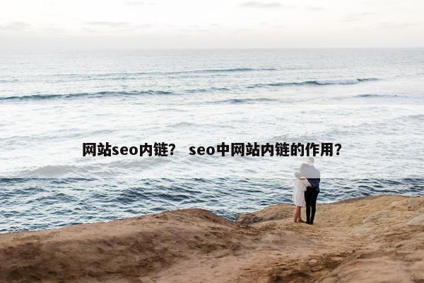 网站seo内链？ seo中网站内链的作用？-第1张图片-冷动云