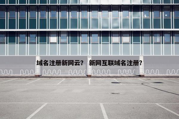 域名注册新网云？ 新网互联域名注册？-第1张图片-冷动云