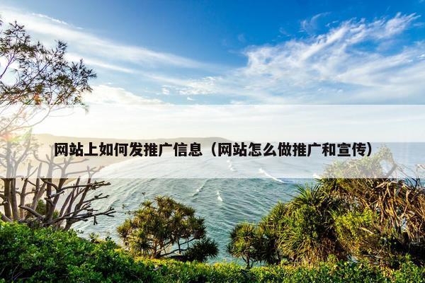 网站上如何发推广信息（网站怎么做推广和宣传）-第1张图片-冷动云