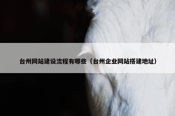 台州网站建设流程有哪些（台州企业网站搭建地址）-第1张图片-冷动云