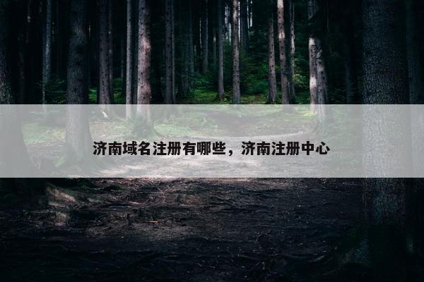 济南域名注册有哪些，济南注册中心-第1张图片-冷动云