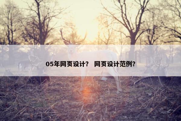 05年网页设计？ 网页设计范例？-第1张图片-冷动云