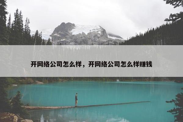 开网络公司怎么样，开网络公司怎么样赚钱-第1张图片-冷动云