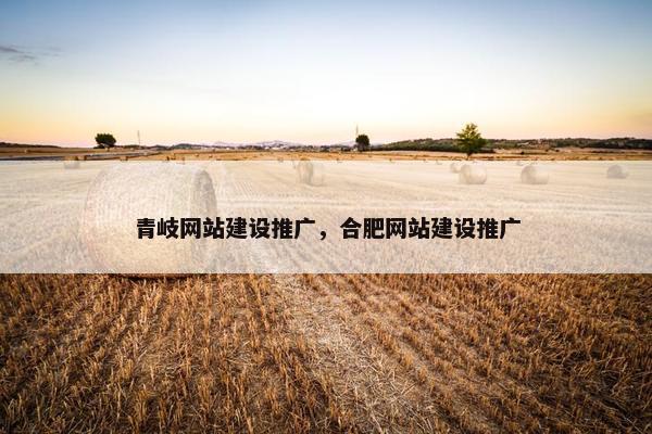 青岐网站建设推广，合肥网站建设推广-第1张图片-冷动云
