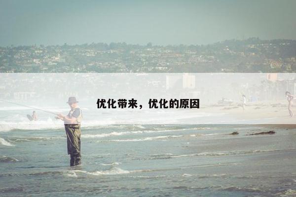 优化带来，优化的原因-第1张图片-冷动云
