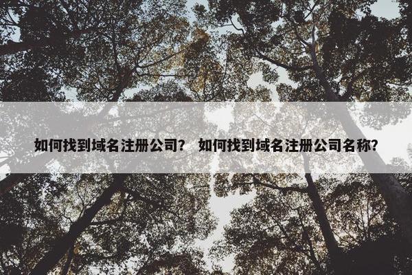 如何找到域名注册公司？ 如何找到域名注册公司名称？-第1张图片-冷动云
