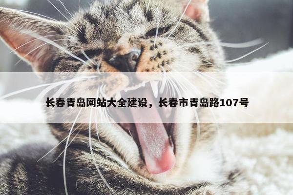 长春青岛网站大全建设，长春市青岛路107号-第1张图片-冷动云