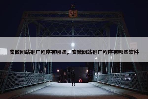 安徽网站推广程序有哪些，安徽网站推广程序有哪些软件-第1张图片-冷动云