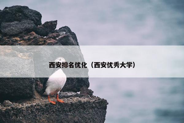 西安排名优化（西安优秀大学）-第1张图片-冷动云