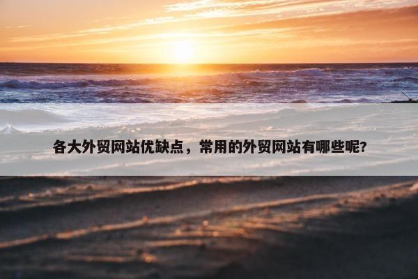各大外贸网站优缺点，常用的外贸网站有哪些呢?-第1张图片-冷动云