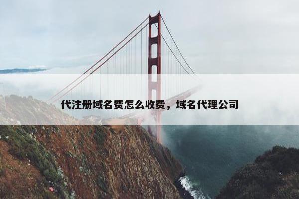 代注册域名费怎么收费，域名代理公司-第1张图片-冷动云