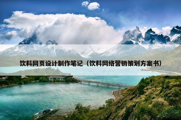 饮料网页设计制作笔记（饮料网络营销策划方案书）-第1张图片-冷动云
