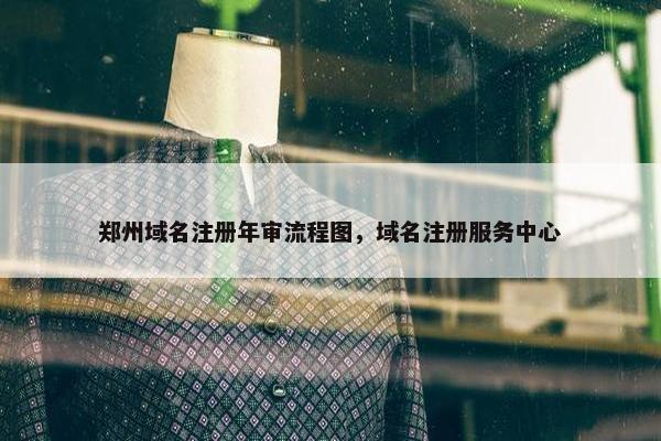 郑州域名注册年审流程图，域名注册服务中心-第1张图片-冷动云