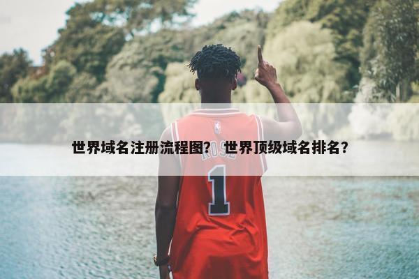 世界域名注册流程图？ 世界顶级域名排名？-第1张图片-冷动云