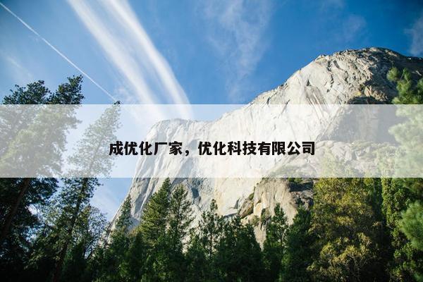 成优化厂家，优化科技有限公司-第1张图片-冷动云