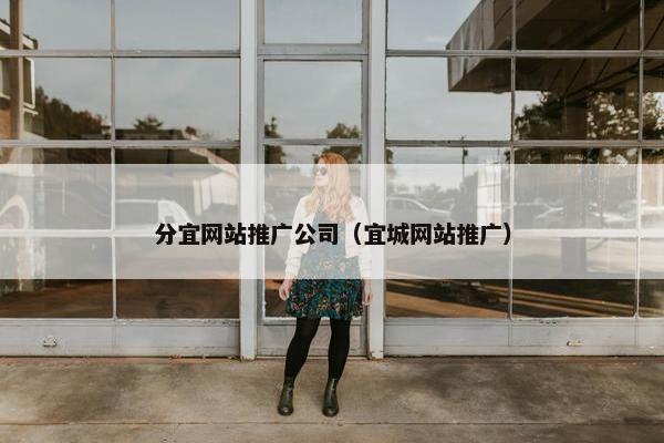 分宜网站推广公司（宜城网站推广）-第1张图片-冷动云