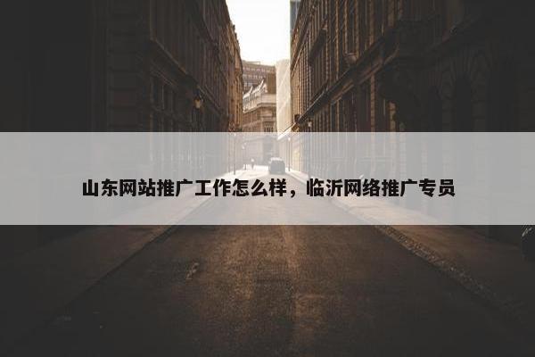 山东网站推广工作怎么样，临沂网络推广专员-第1张图片-冷动云