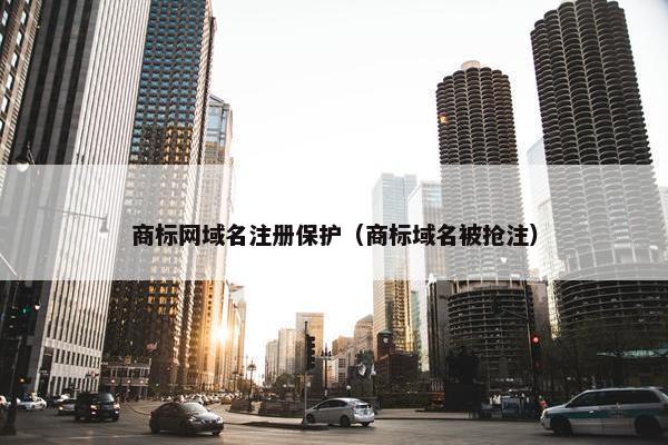 商标网域名注册保护（商标域名被抢注）-第1张图片-冷动云