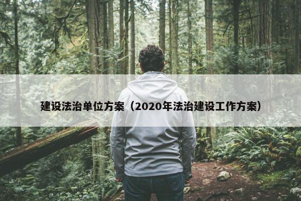 建设法治单位方案（2020年法治建设工作方案）-第1张图片-冷动云