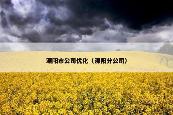 溧阳市公司优化（溧阳分公司）-第1张图片-冷动云